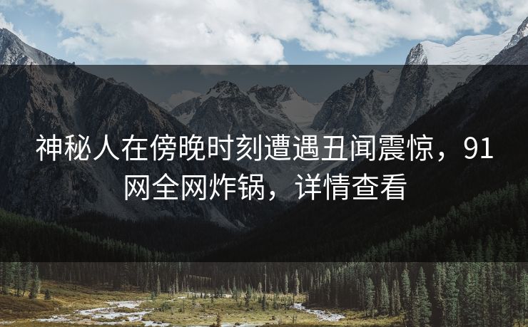 神秘人在傍晚时刻遭遇丑闻震惊，91网全网炸锅，详情查看