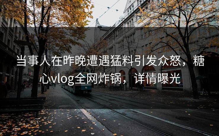 当事人在昨晚遭遇猛料引发众怒，糖心vlog全网炸锅，详情曝光