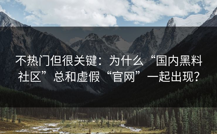 不热门但很关键：为什么“国内黑料社区”总和虚假“官网”一起出现？